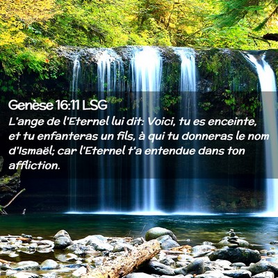 Picture 02 - Genèse 16:11 LSG - L'ange de l'Eternel lui dit: Voici, tu es - Bible Verse Picture