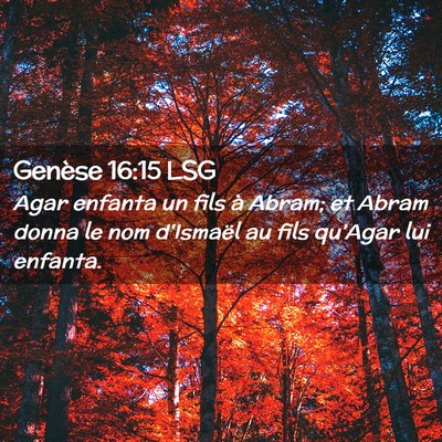 Picture 02 - Genèse 16:15 LSG - Agar enfanta un fils à Abram; et Abram donna le - Bible Verse Picture