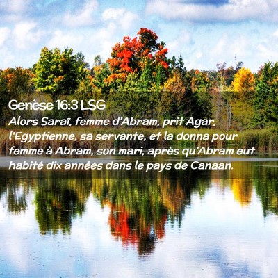 Picture 02 - Genèse 16:3 LSG - Alors Saraï, femme d'Abram, prit Agar, - Bible Verse Picture