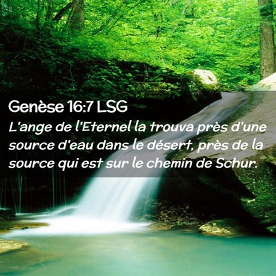 Picture 02 - Genèse 16:7 LSG - L'ange de l'Eternel la trouva près d'une source - Bible Verse Picture