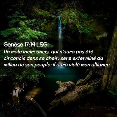 Picture 02 - Genèse 17:14 LSG - Un mâle incirconcis, qui n'aura pas été - Bible Verse Picture