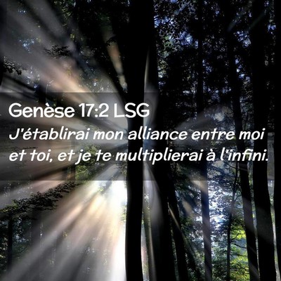 Picture 02 - Genèse 17:2 LSG - J'établirai mon alliance entre moi et toi, et je - Bible Verse Picture