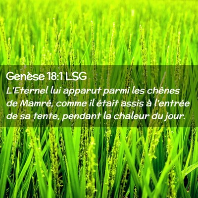 Picture 02 - Genèse 18:1 LSG - L'Eternel lui apparut parmi les chênes de - Bible Verse Picture