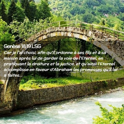 Picture 02 - Genèse 18:19 LSG - Car je l'ai choisi, afin qu'il ordonne à ses - Bible Verse Picture