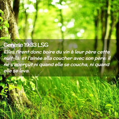Picture 02 - Genèse 19:33 LSG - Elles firent donc boire du vin à leur père - Bible Verse Picture