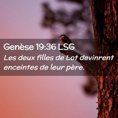 Picture 02 - Genèse 19:36 LSG - Les deux filles de Lot devinrent enceintes de - Bible Verse Picture