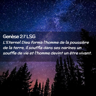 Picture 02 - Genèse 2:7 LSG - L'Eternel Dieu forma l'homme de la poussière de - Bible Verse Picture