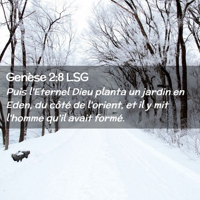 Picture 02 - Genèse 2:8 LSG - Puis l'Eternel Dieu planta un jardin en Eden, du - Bible Verse Picture