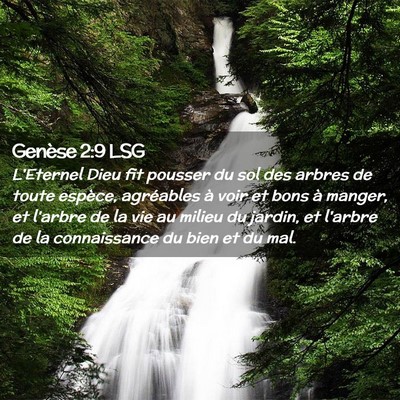 Picture 02 - Genèse 2:9 LSG - L'Eternel Dieu fit pousser du sol des arbres de - Bible Verse Picture