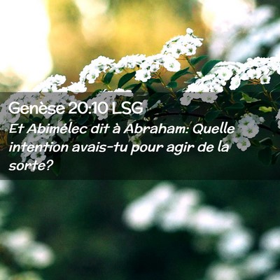 Picture 02 - Genèse 20:10 LSG - Et Abimélec dit à Abraham: Quelle intention - Bible Verse Picture