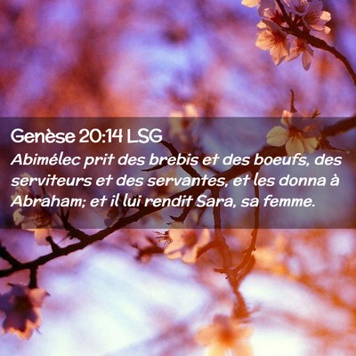 Picture 02 - Genèse 20:14 LSG - Abimélec prit des brebis et des boeufs, des - Bible Verse Picture