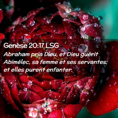 Picture 02 - Genèse 20:17 LSG - Abraham pria Dieu, et Dieu guérit Abimélec, sa - Bible Verse Picture