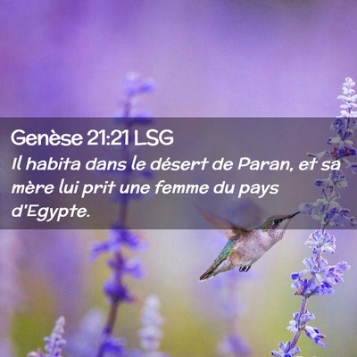 Picture 02 - Genèse 21:21 LSG - Il habita dans le désert de Paran, et sa mère - Bible Verse Picture