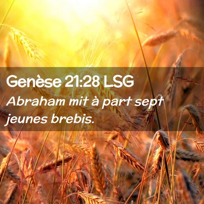 Picture 02 - Genèse 21:28 LSG - Abraham mit à part sept jeunes - Bible Verse Picture
