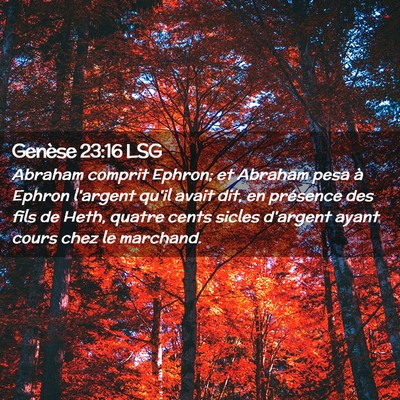 Picture 02 - Genèse 23:16 LSG - Abraham comprit Ephron; et Abraham pesa à Ephron - Bible Verse Picture