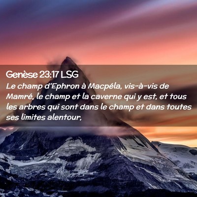 Picture 02 - Genèse 23:17 LSG - Le champ d'Ephron à Macpéla, vis-à-vis de - Bible Verse Picture