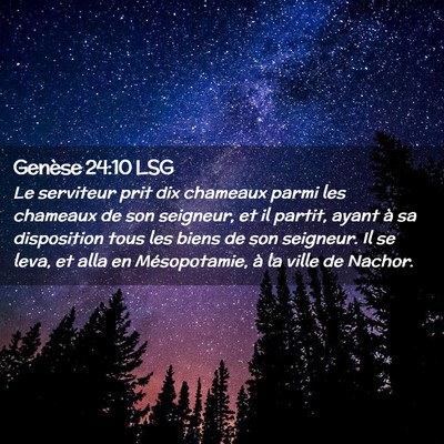 Picture 02 - Genèse 24:10 LSG - Le serviteur prit dix chameaux parmi les chameaux - Bible Verse Picture