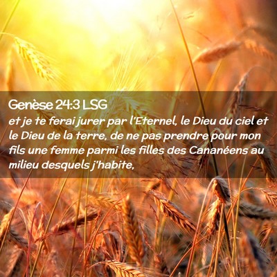 Picture 02 - Genèse 24:3 LSG - et je te ferai jurer par l'Eternel, le Dieu du - Bible Verse Picture