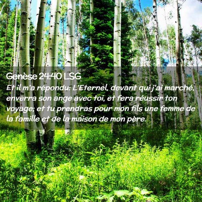 Picture 02 - Genèse 24:40 LSG - Et il m'a répondu: L'Eternel, devant qui j'ai - Bible Verse Picture