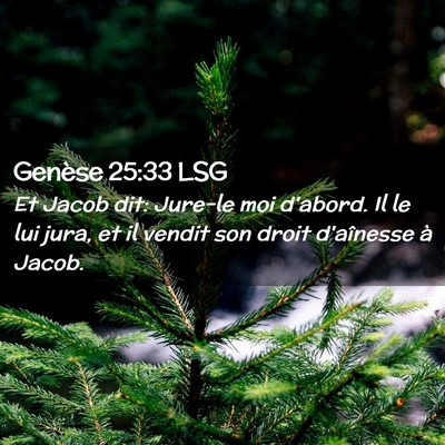 Picture 02 - Genèse 25:33 LSG - Et Jacob dit: Jure-le moi d'abord. Il le lui - Bible Verse Picture