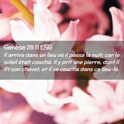 Picture 02 - Genèse 28:11 LSG - Il arriva dans un lieu où il passa la nuit; car - Bible Verse Picture