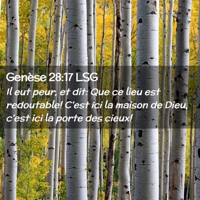 Picture 02 - Genèse 28:17 LSG - Il eut peur, et dit: Que ce lieu est redoutable! - Bible Verse Picture