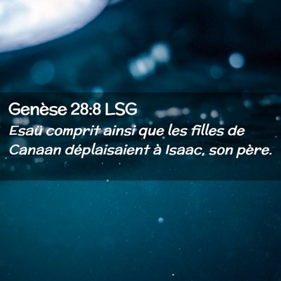 Picture 02 - Genèse 28:8 LSG - Esaü comprit ainsi que les filles de Canaan - Bible Verse Picture