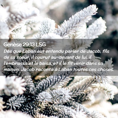 Picture 02 - Genèse 29:13 LSG - Dès que Laban eut entendu parler de Jacob, fils - Bible Verse Picture