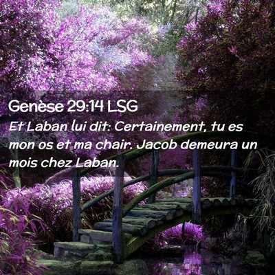 Picture 02 - Genèse 29:14 LSG - Et Laban lui dit: Certainement, tu es mon os et - Bible Verse Picture