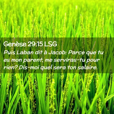 Picture 02 - Genèse 29:15 LSG - Puis Laban dit à Jacob: Parce que tu es mon - Bible Verse Picture