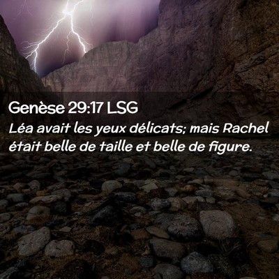 Picture 02 - Genèse 29:17 LSG - Léa avait les yeux délicats; mais Rachel était - Bible Verse Picture