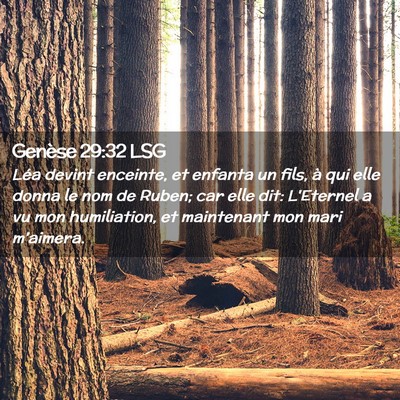 Picture 02 - Genèse 29:32 LSG - Léa devint enceinte, et enfanta un fils, à qui - Bible Verse Picture