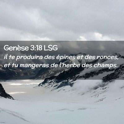 Picture 02 - Genèse 3:18 LSG - il te produira des épines et des ronces, et tu - Bible Verse Picture