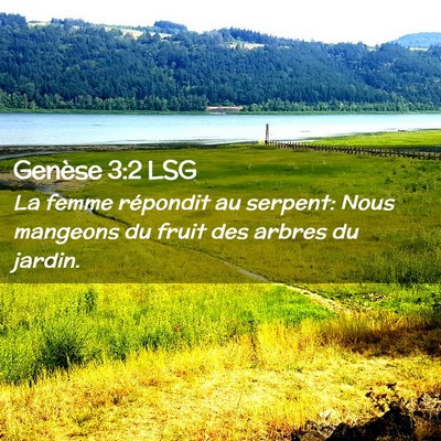 Picture 02 - Genèse 3:2 LSG - La femme répondit au serpent: Nous mangeons du - Bible Verse Picture