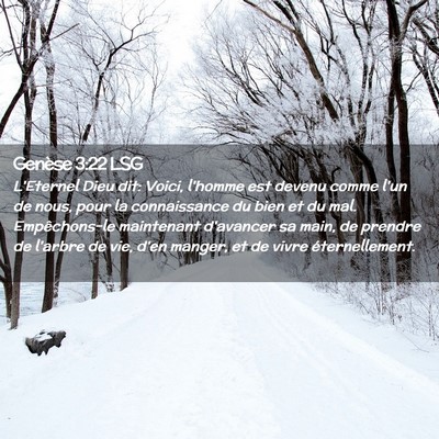 Picture 02 - Genèse 3:22 LSG - L'Eternel Dieu dit: Voici, l'homme est devenu - Bible Verse Picture