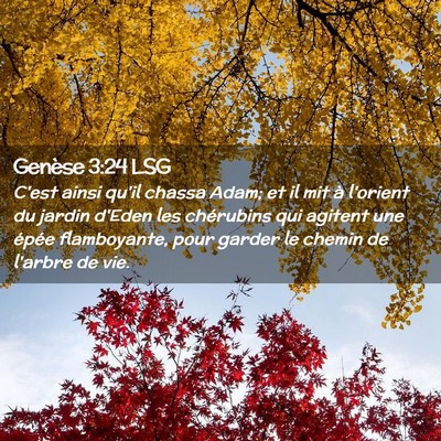 Picture 02 - Genèse 3:24 LSG - C'est ainsi qu'il chassa Adam; et il mit à - Bible Verse Picture