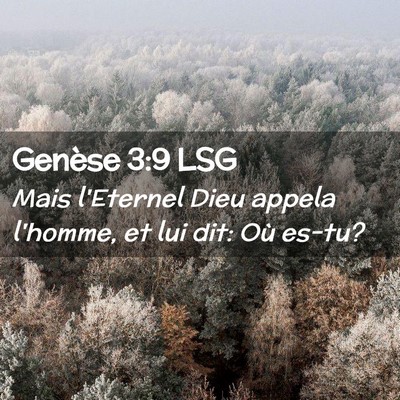 Picture 02 - Genèse 3:9 LSG - Mais l'Eternel Dieu appela l'homme, et lui dit: - Bible Verse Picture