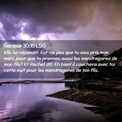 Picture 02 - Genèse 30:15 LSG - Elle lui répondit: Est-ce peu que tu aies pris - Bible Verse Picture
