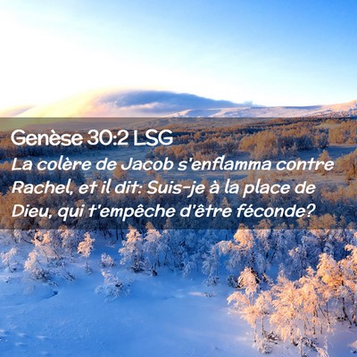 Picture 02 - Genèse 30:2 LSG - La colère de Jacob s'enflamma contre Rachel, et - Bible Verse Picture