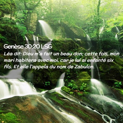 Picture 02 - Genèse 30:20 LSG - Léa dit: Dieu m'a fait un beau don; cette fois, - Bible Verse Picture