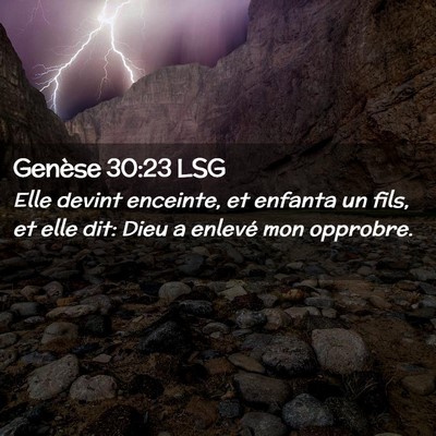 Picture 02 - Genèse 30:23 LSG - Elle devint enceinte, et enfanta un fils, et elle - Bible Verse Picture