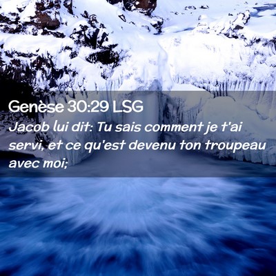 Picture 02 - Genèse 30:29 LSG - Jacob lui dit: Tu sais comment je t'ai servi, et - Bible Verse Picture