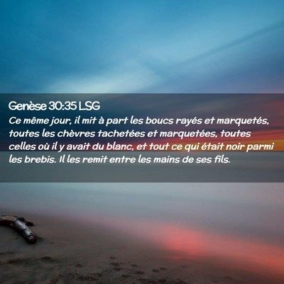 Picture 02 - Genèse 30:35 LSG - Ce même jour, il mit à part les boucs rayés et - Bible Verse Picture