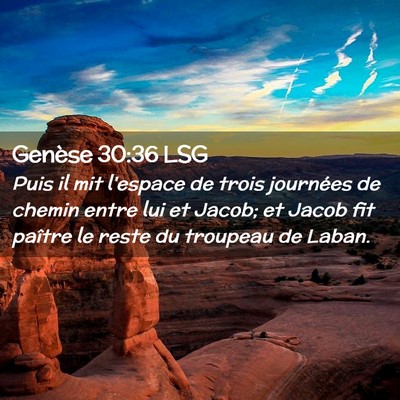 Picture 02 - Genèse 30:36 LSG - Puis il mit l'espace de trois journées de chemin - Bible Verse Picture