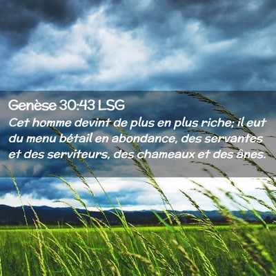 Picture 02 - Genèse 30:43 LSG - Cet homme devint de plus en plus riche; il eut du - Bible Verse Picture