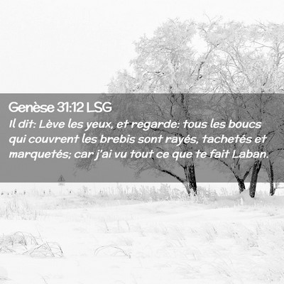 Picture 02 - Genèse 31:12 LSG - Il dit: Lève les yeux, et regarde: tous les - Bible Verse Picture