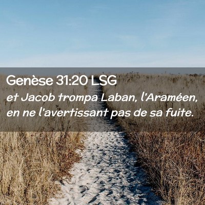 Picture 02 - Genèse 31:20 LSG - et Jacob trompa Laban, l'Araméen, en ne - Bible Verse Picture