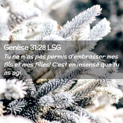 Picture 02 - Genèse 31:28 LSG - Tu ne m'as pas permis d'embrasser mes fils et mes - Bible Verse Picture