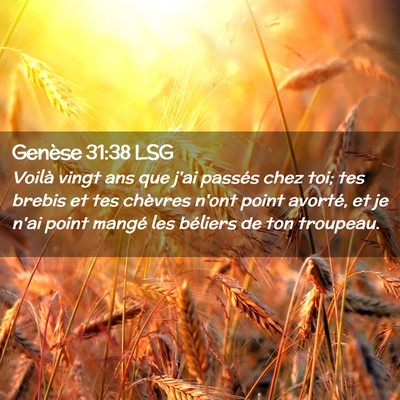 Picture 02 - Genèse 31:38 LSG - Voilà vingt ans que j'ai passés chez toi; tes - Bible Verse Picture