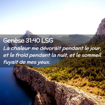 Picture 02 - Genèse 31:40 LSG - La chaleur me dévorait pendant le jour, et le - Bible Verse Picture